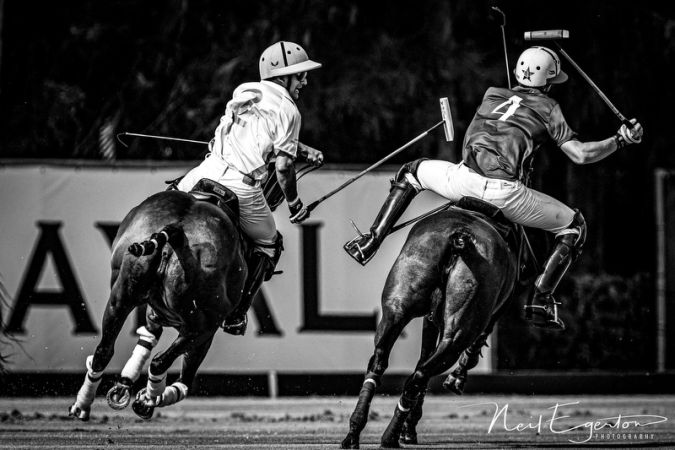 POLO ART 115