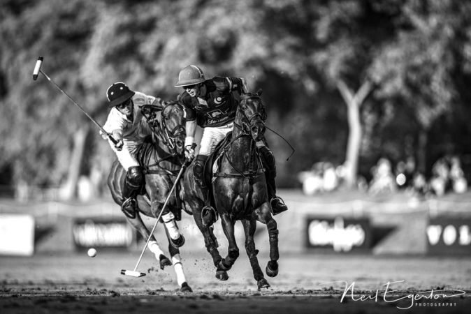 POLO ART 196